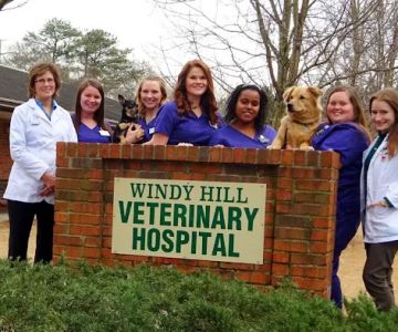 Windy Hill Veterinary Hospital