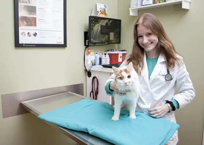 Windy Hill Veterinary Hospital 12