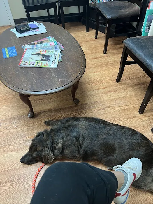 Windy Hill Veterinary Hospital 12