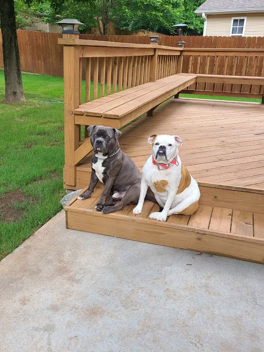 Powder Springs Animal Clinic 5