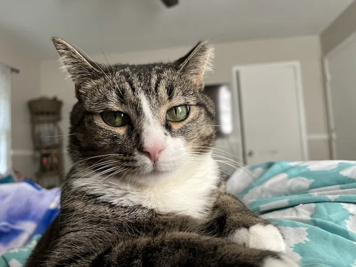 Powder Springs Animal Clinic 1