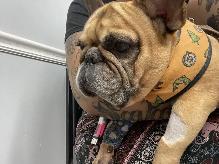 Powder Springs Animal Clinic 4