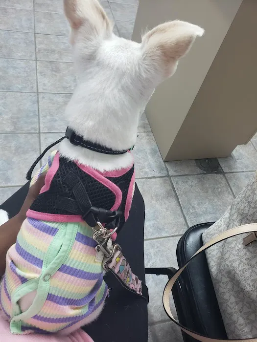 Powder Springs Animal Clinic 6