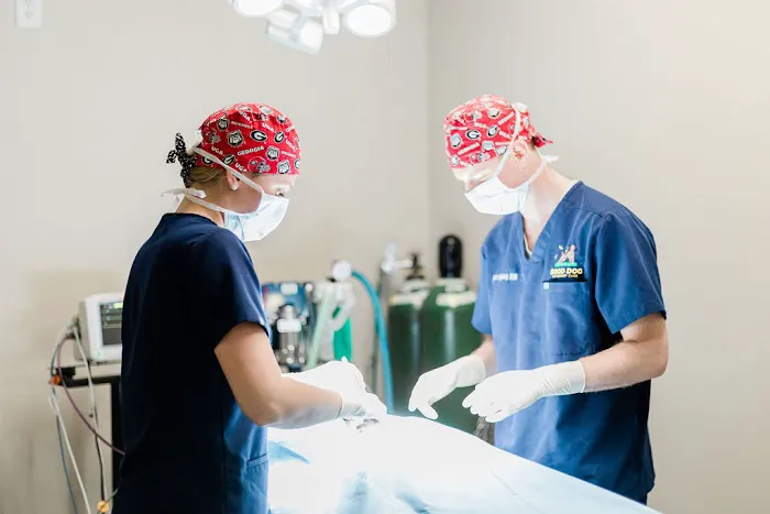 Good Dog Veterinary Care West Cobb 12