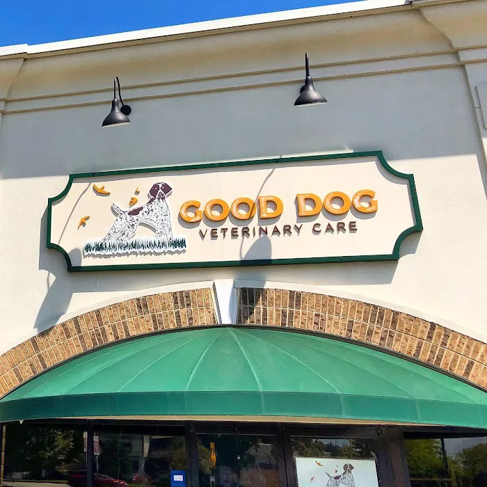 Good Dog Veterinary Care West Cobb 12