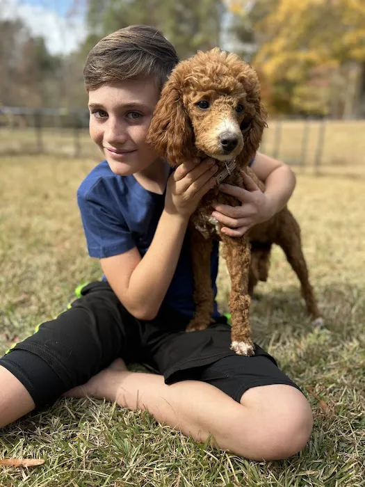 Good Dog Veterinary Care West Cobb 12