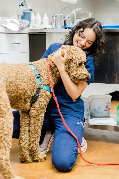 Good Dog Veterinary Care West Cobb 12