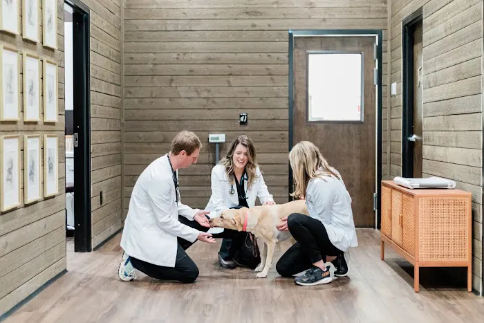 Good Dog Veterinary Care West Cobb 12