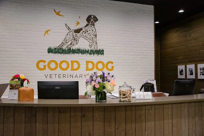 Good Dog Veterinary Care Smyrna 5