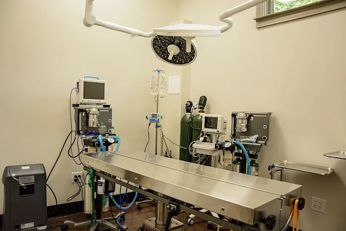 Good Dog Veterinary Care Smyrna 8