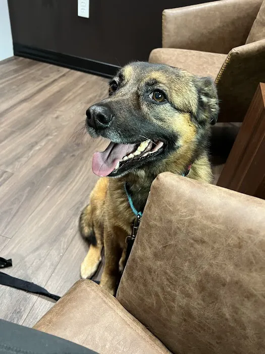 Good Dog Veterinary Care Smyrna 7