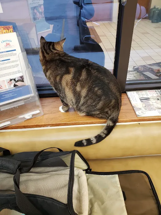 Chastain Animal Clinic 8