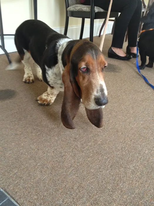 Marietta Vet Clinic 12