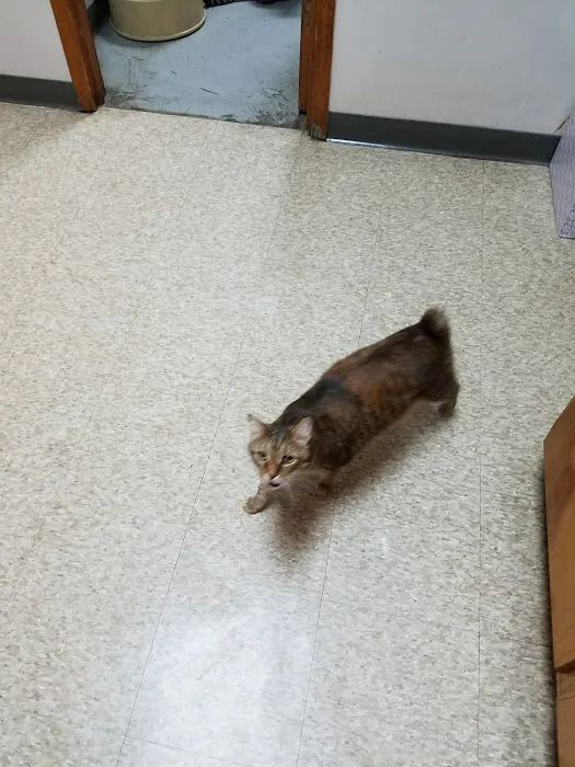Riverview Veterinary Hospital 2
