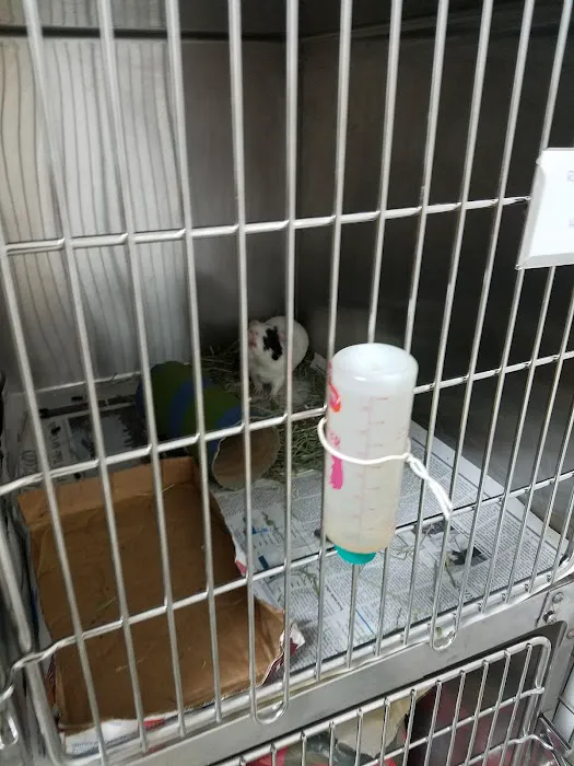 Riverview Veterinary Hospital 1