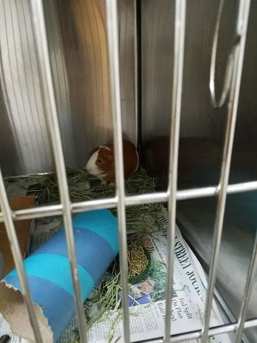 Riverview Veterinary Hospital 4