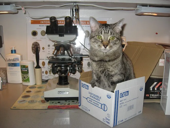 Riverview Veterinary Hospital 6