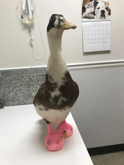 Riverview Veterinary Hospital 7