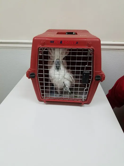 Riverview Veterinary Hospital 5
