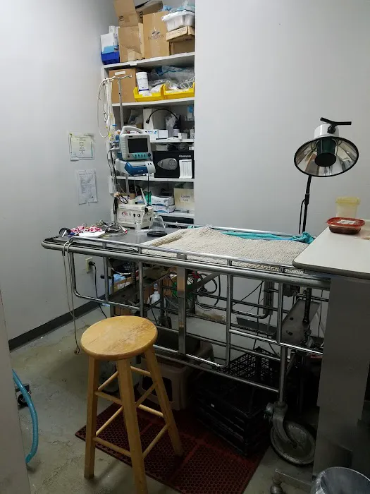 Riverview Veterinary Hospital 9