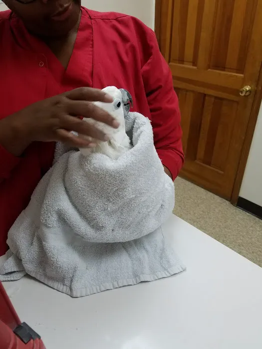 Riverview Veterinary Hospital 8