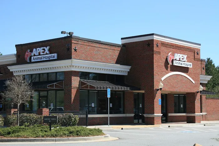 Apex Animal Hospital 3