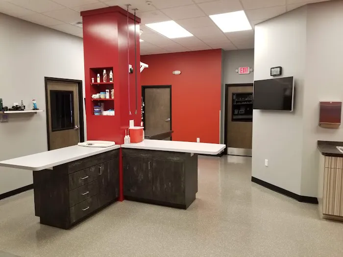 Apex Animal Hospital 6