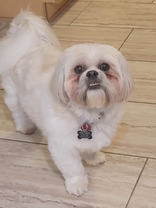 Apex Animal Hospital 8