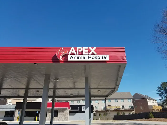 Apex Animal Hospital 7
