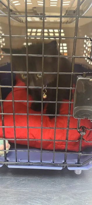 Banfield Pet Hospital 4