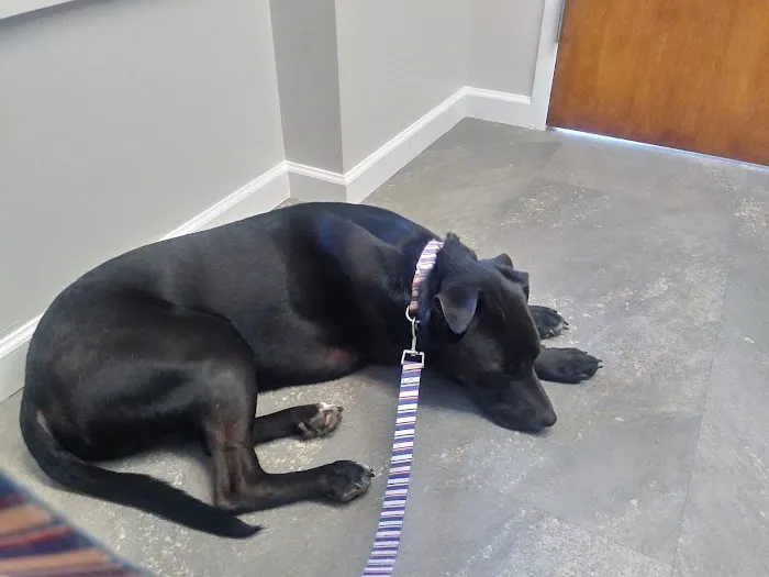 Cumberland Animal Clinic 2