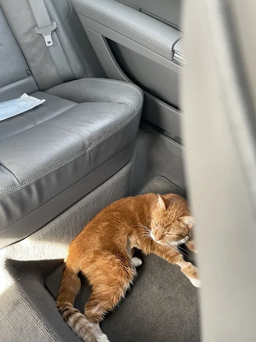 Cumberland Animal Clinic 4