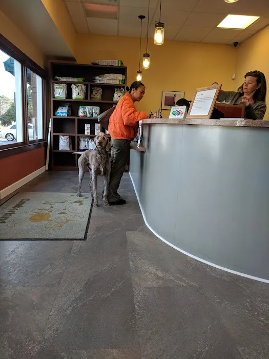 Cumberland Animal Clinic 5