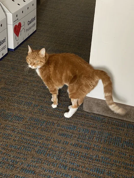 Cumberland Animal Clinic 6