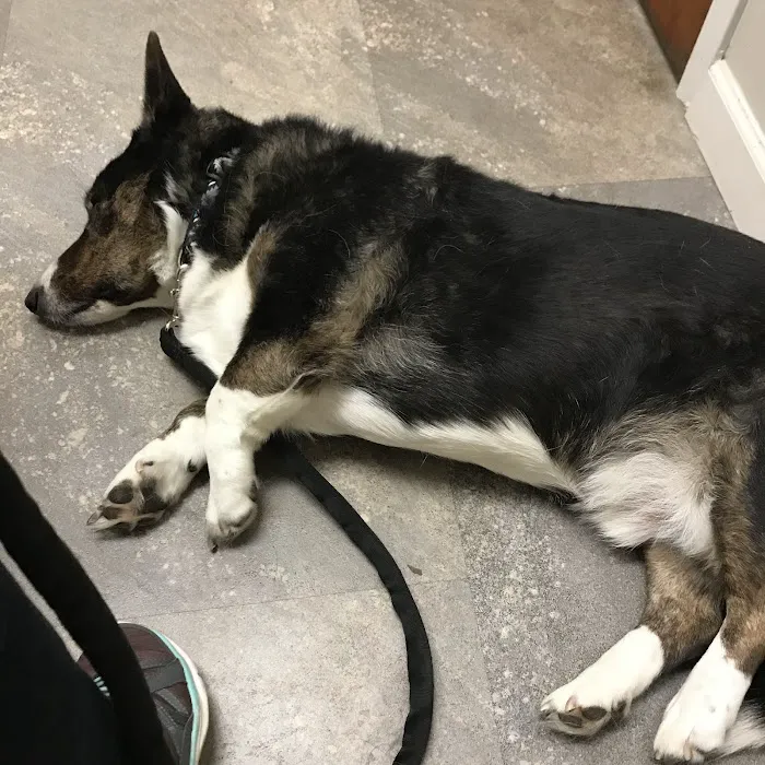Cumberland Animal Clinic 7