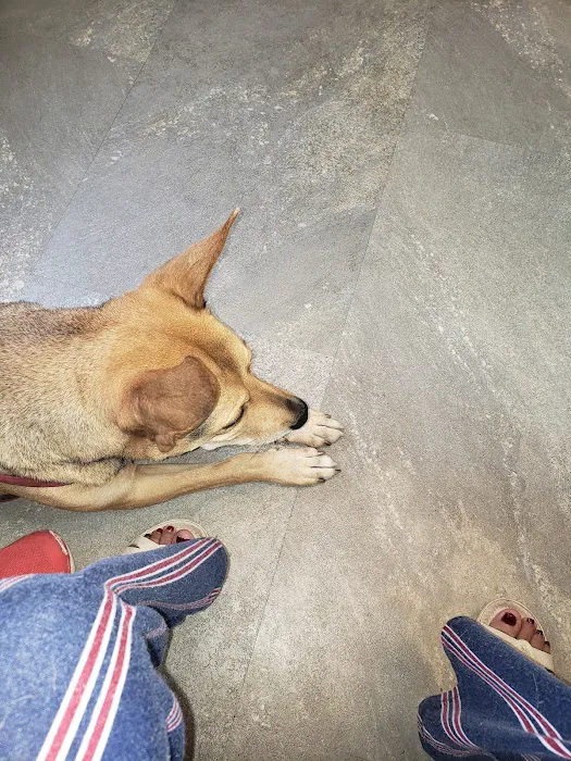 Cumberland Animal Clinic 9