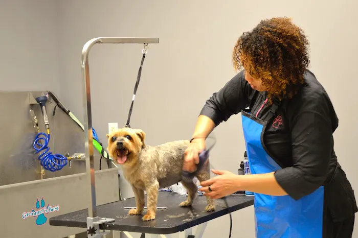 Macland Animal Hospital 12
