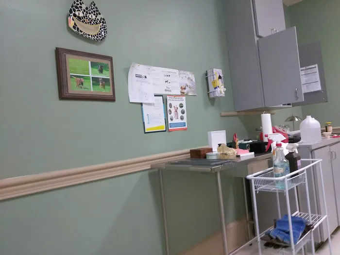 Santa Marietta Animal Hospital LLC 12