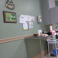 Santa Marietta Animal Hospital LLC ico