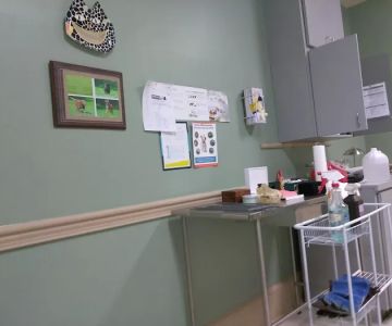 Santa Marietta Animal Hospital LLC