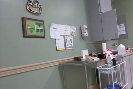 Santa Marietta Animal Hospital LLC
