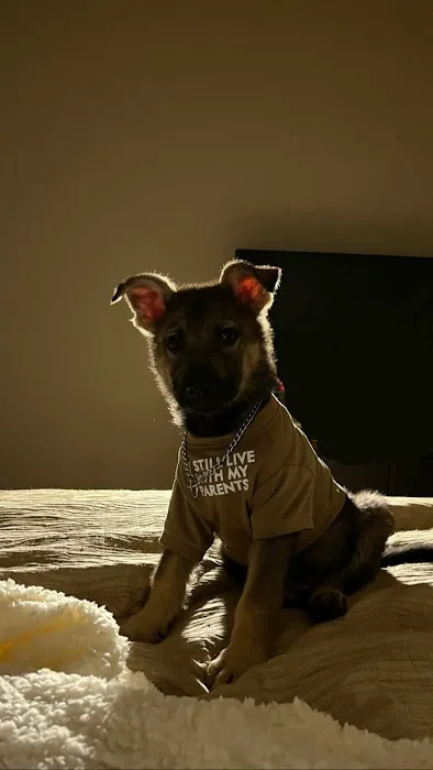 Santa Marietta Animal Hospital LLC 12