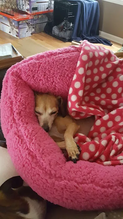 Santa Marietta Animal Hospital LLC 12