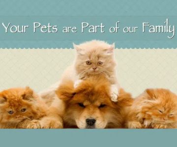 Smyrna Animal Hospital