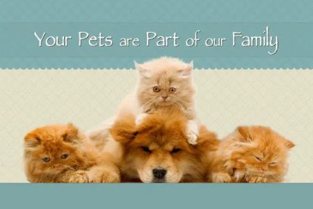 Smyrna Animal Hospital