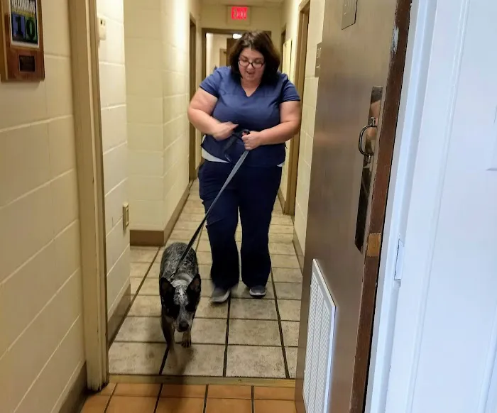 Smyrna Animal Hospital 12