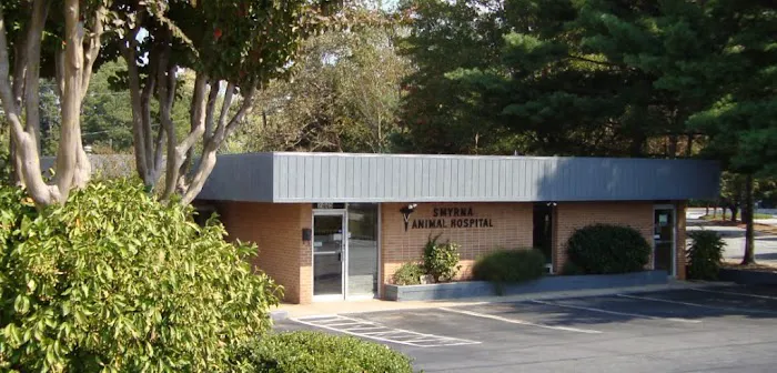 Smyrna Animal Hospital 12