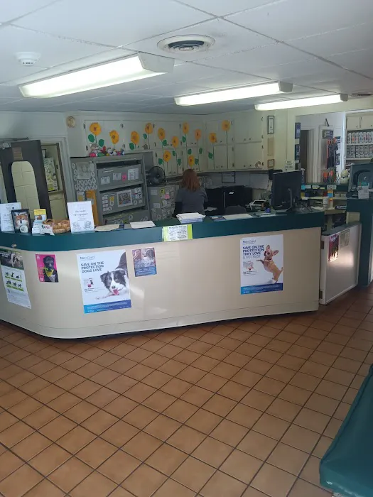Smyrna Animal Hospital 12