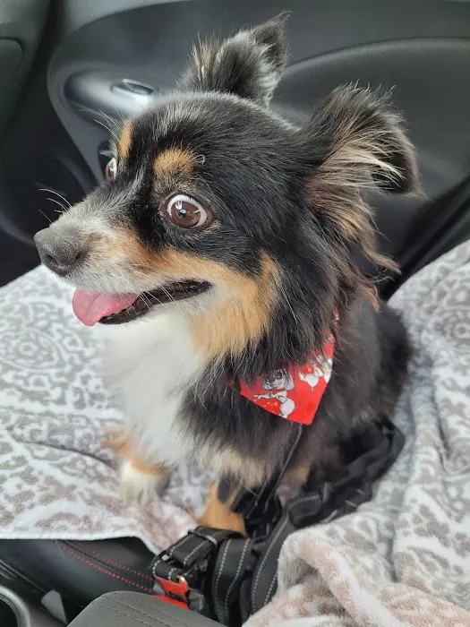Dallas Highway Animal Hospital 12