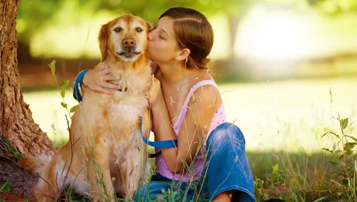 Dallas Highway Animal Hospital 12